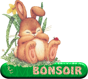 Gif animé bonsoir lapin